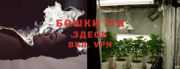 эйфоретик Богданович