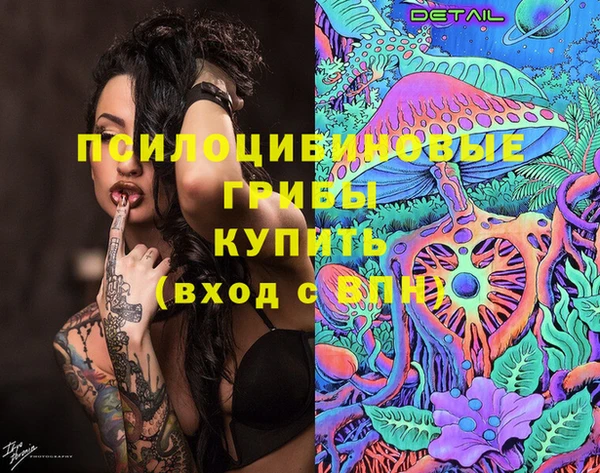 прущие грибы Богородицк