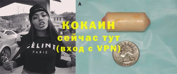 прущие грибы Богородицк