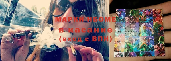 прущие грибы Богородицк