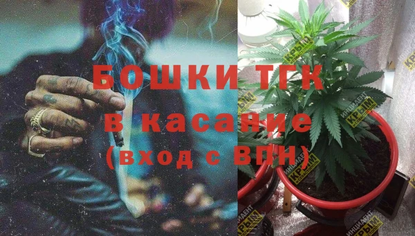 прущие грибы Богородицк
