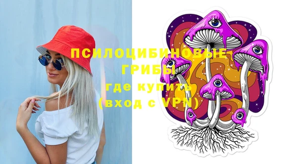 эйфоретик Богданович