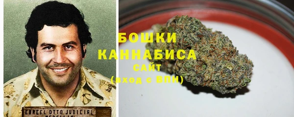 эйфоретик Богданович