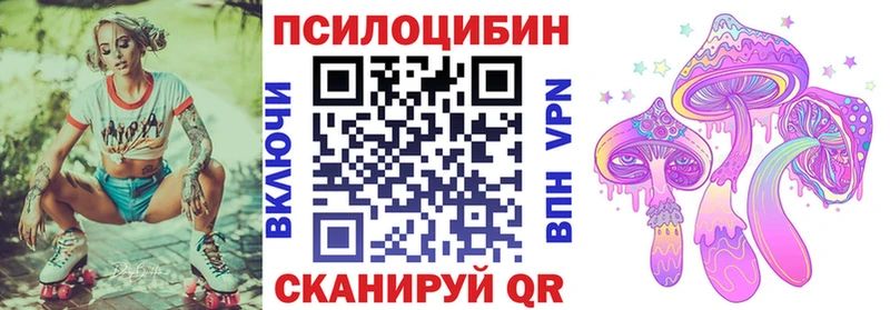 где купить наркоту  kraken ССЫЛКА  Псилоцибиновые грибы Psilocybe  Наро-Фоминск 